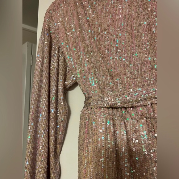 Hello Molly “Dancing Queen” (Sz 0/2, XS/Small) Robe Dress, Champagne Pink - Picture 7 of 7